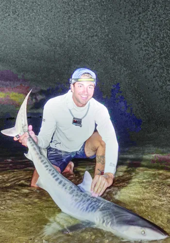 Tropical shark caught off Massachusetts could be sign of warming waters